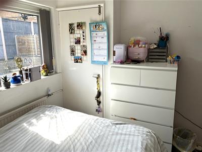 Picture 13